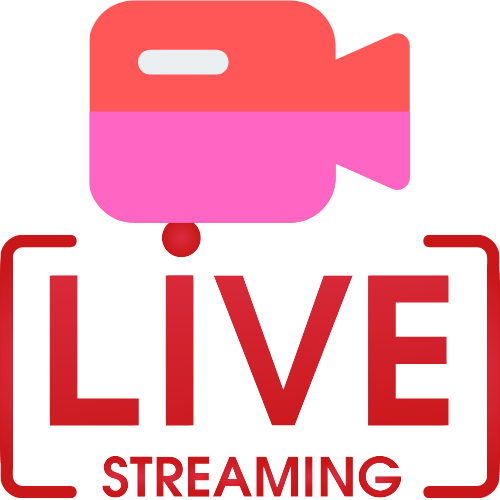 Gril Cams